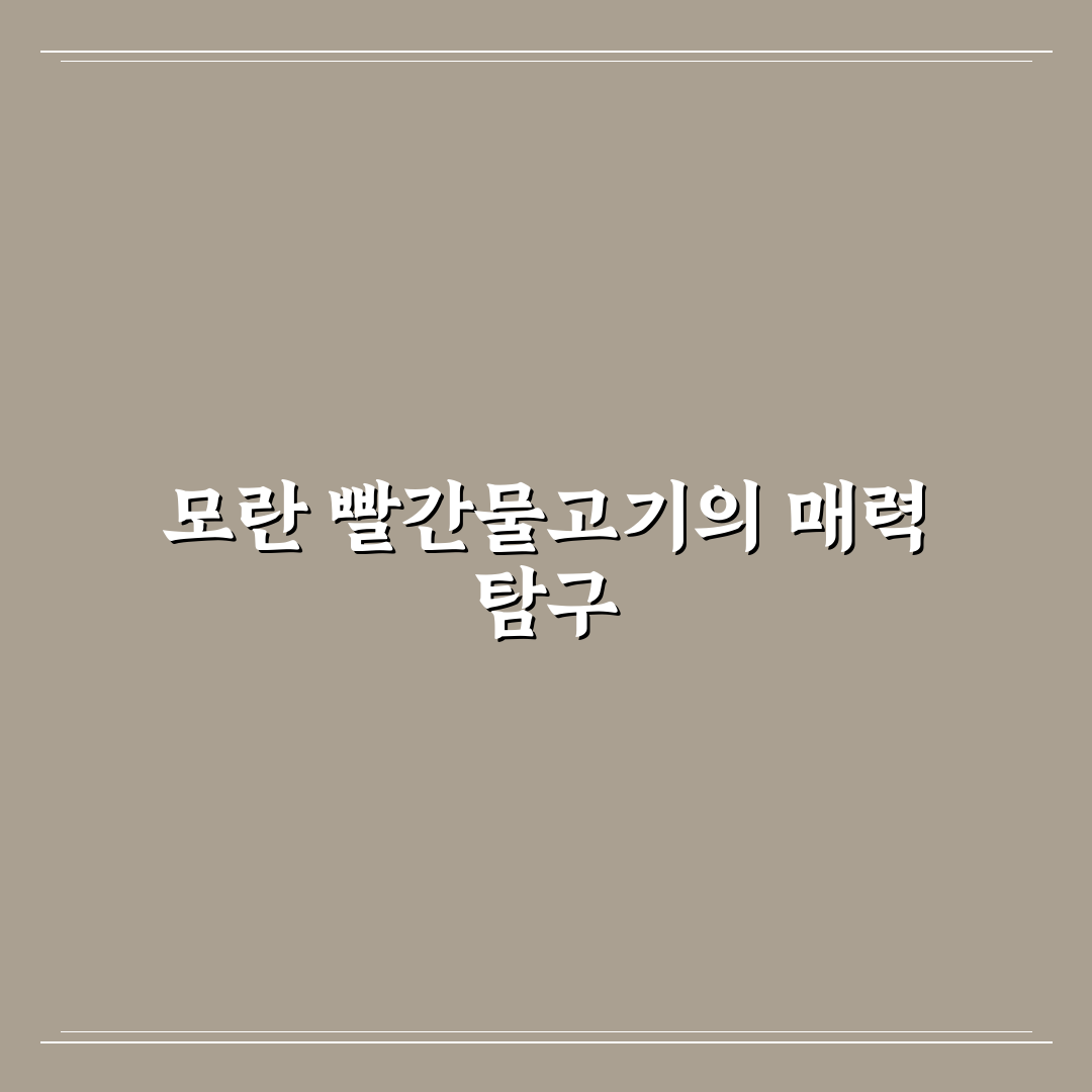 모란 빨간물고기 키우기 꿀팁과 관리법 정리