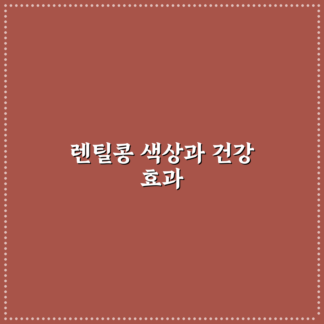 렌틸콩 색깔별 효능과 영양 차이 쉽게 정리해드려요