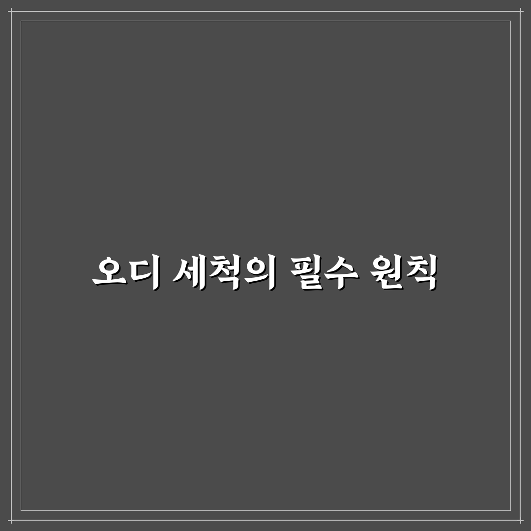 오디 씻는법과 꿀팁 초보자도 쉽게 따라하기