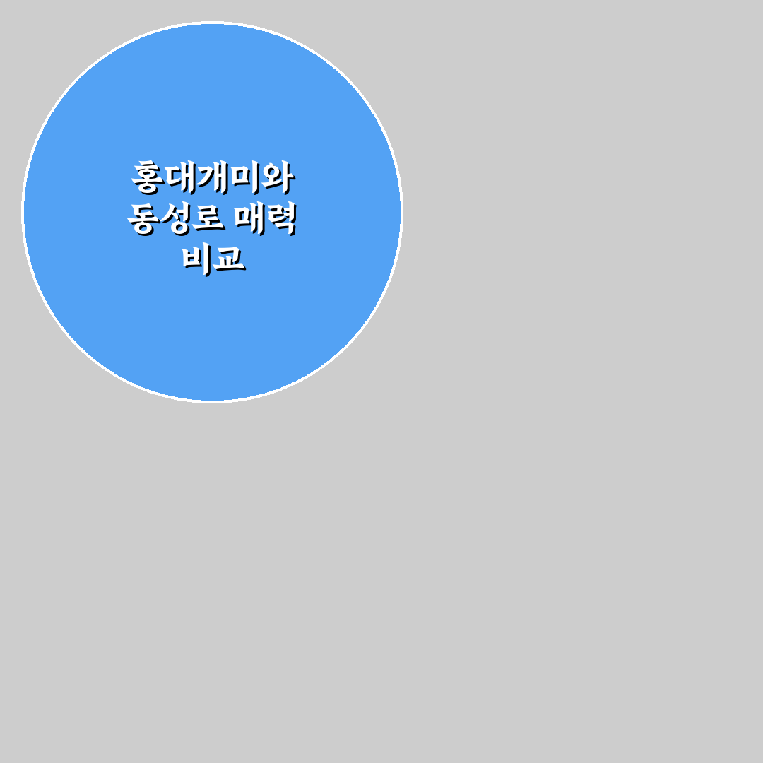 홍대개미 동성로 이용 꿀팁과 방문 후기 정리