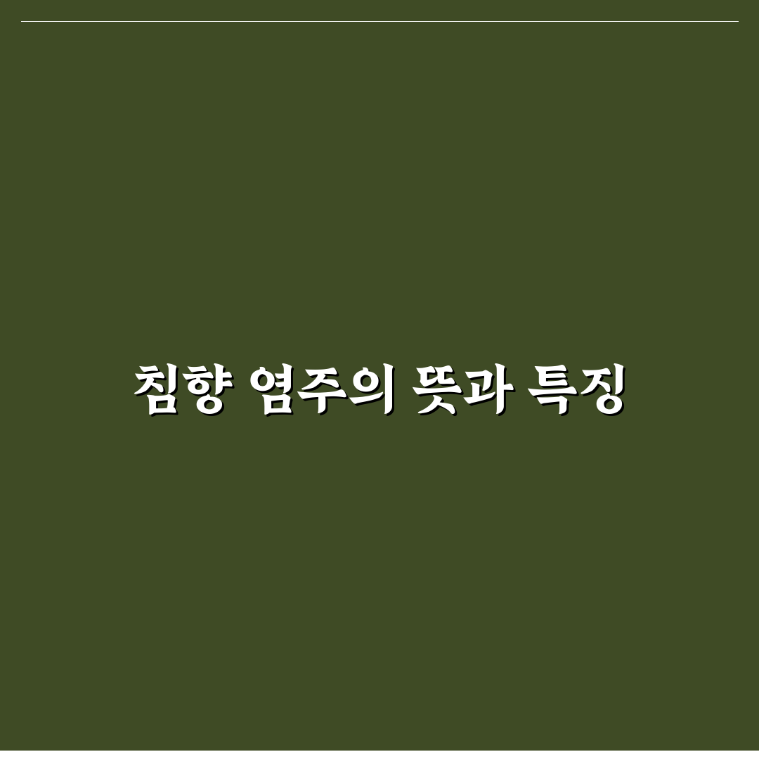 침향 염주 특징과 관리 꿀팁 쉽게 알려드려요