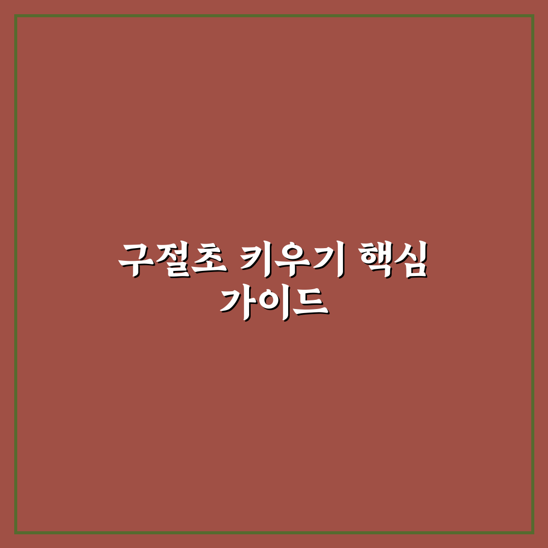 구절초 모종 키우기 꿀팁과 관리 방법 정리