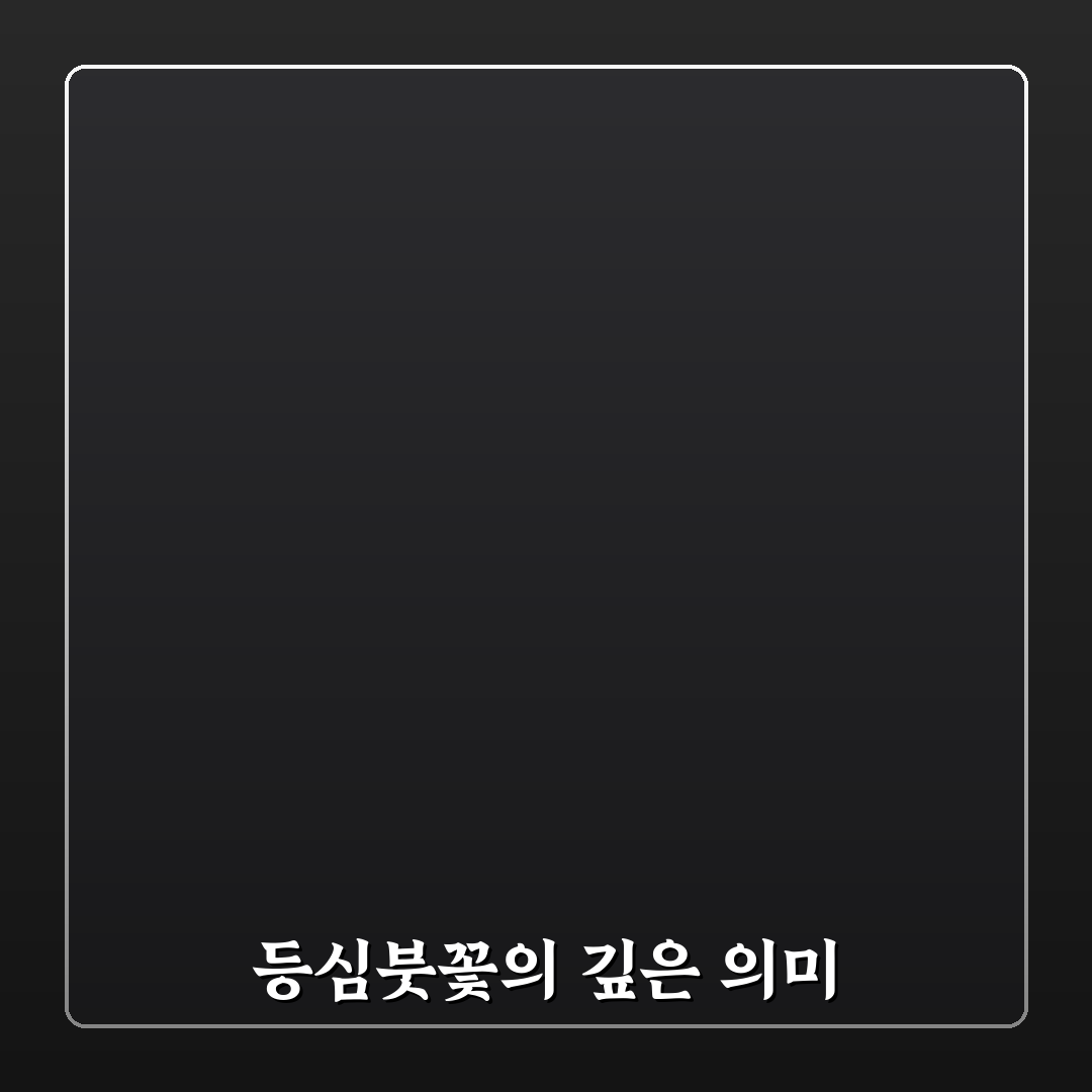 등심붓꽃 꽃말과 의미 쉽게 알려드려요