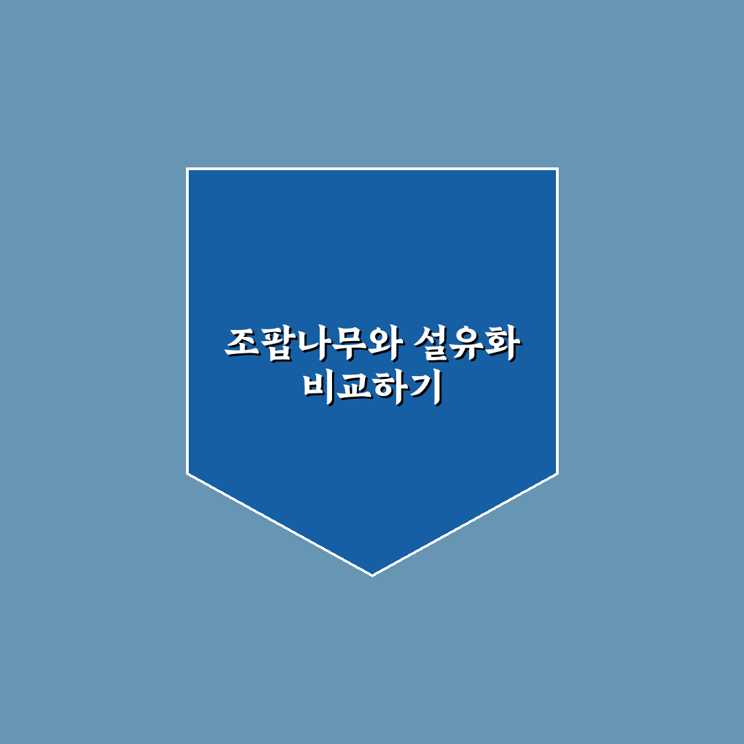 조팝나무 설유화 차이 쉽게 이해하는 꿀팁 정리