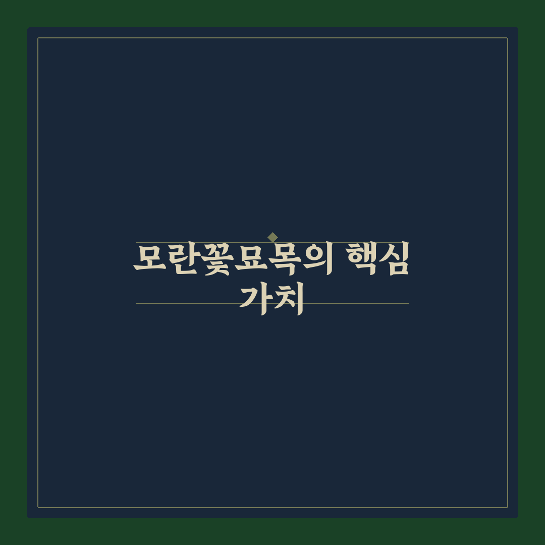 모란꽃묘목 키우기 꿀팁과 관리법 정리