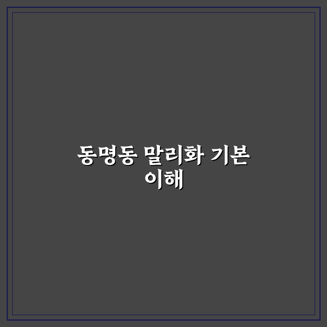 동명동 말리화 초보자를 위한 활용법과 꿀팁 공유