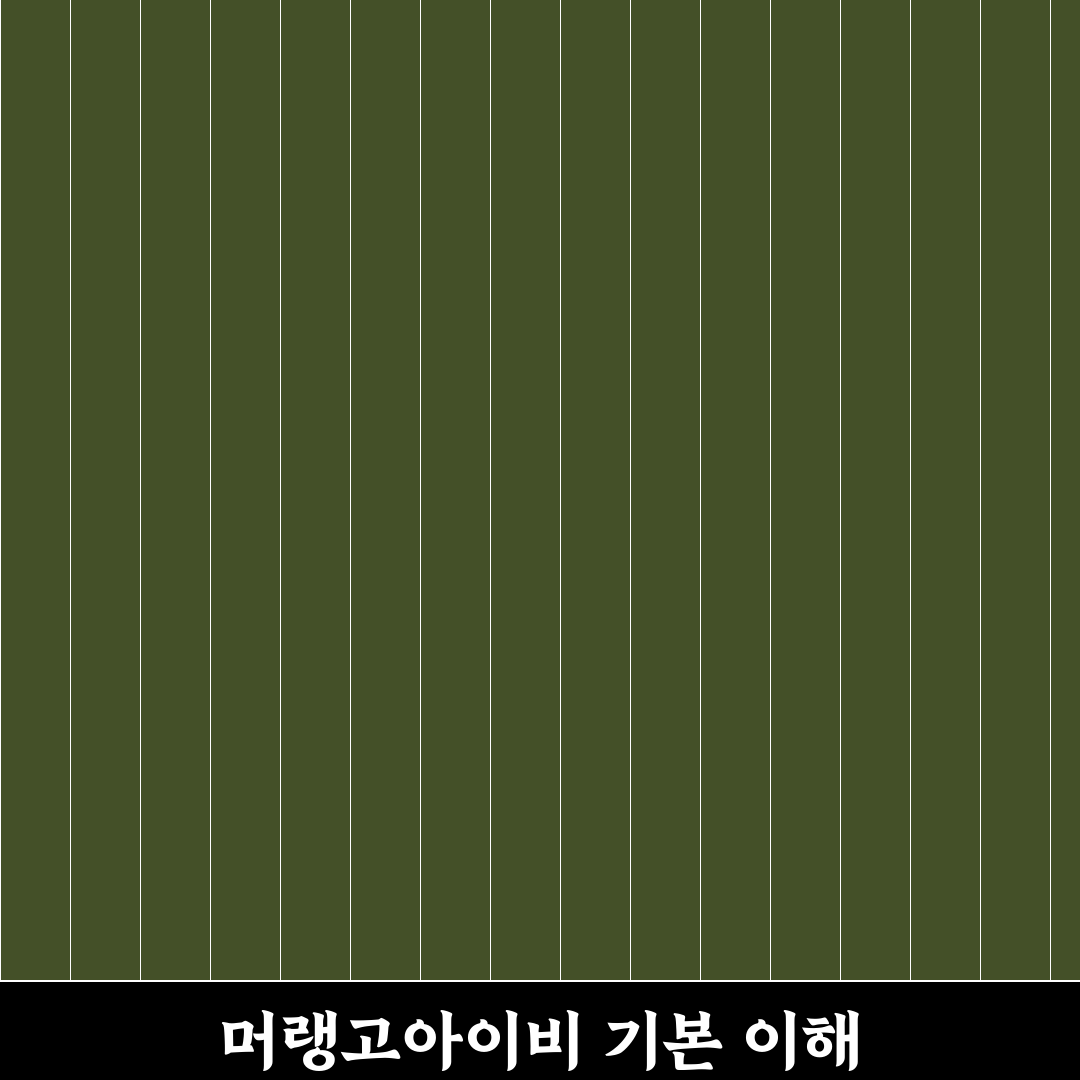 머랭고아이비 키우기 꿀팁과 관리 방법 알려드려요
