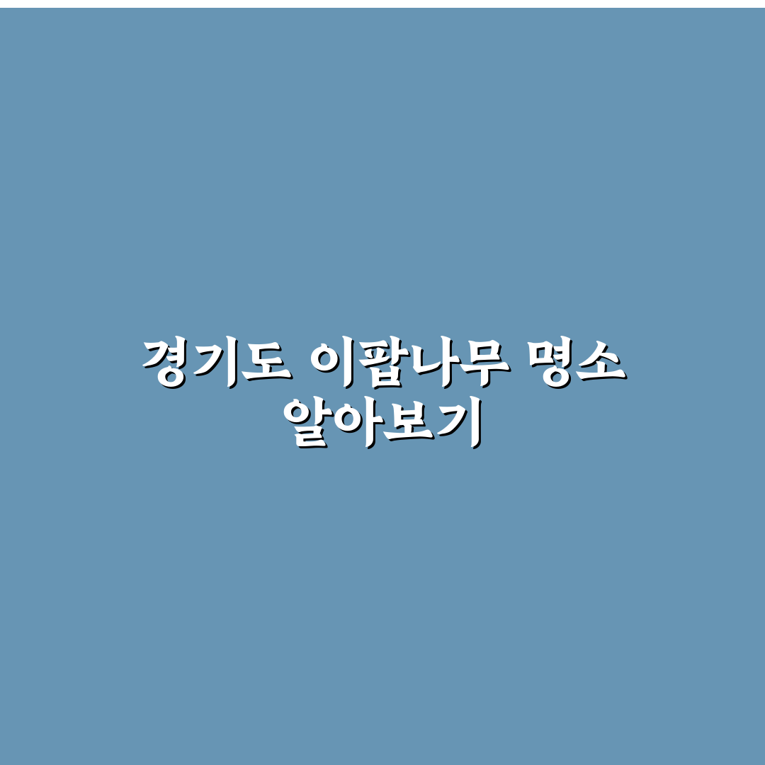 이팝나무 명소 경기도 추천과 방문 꿀팁 정리