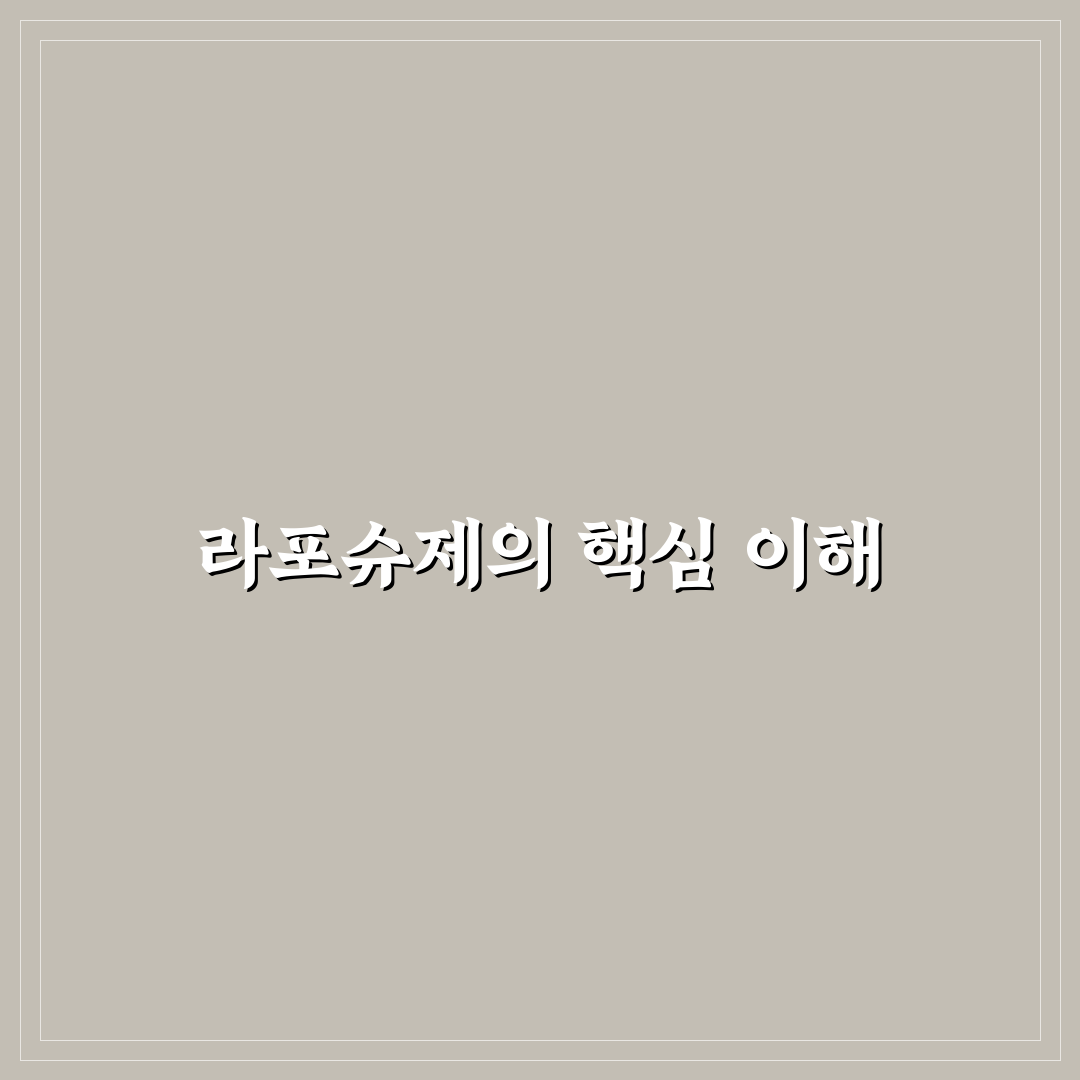 라포슈제 사용법과 효과 쉽게 알려드려요