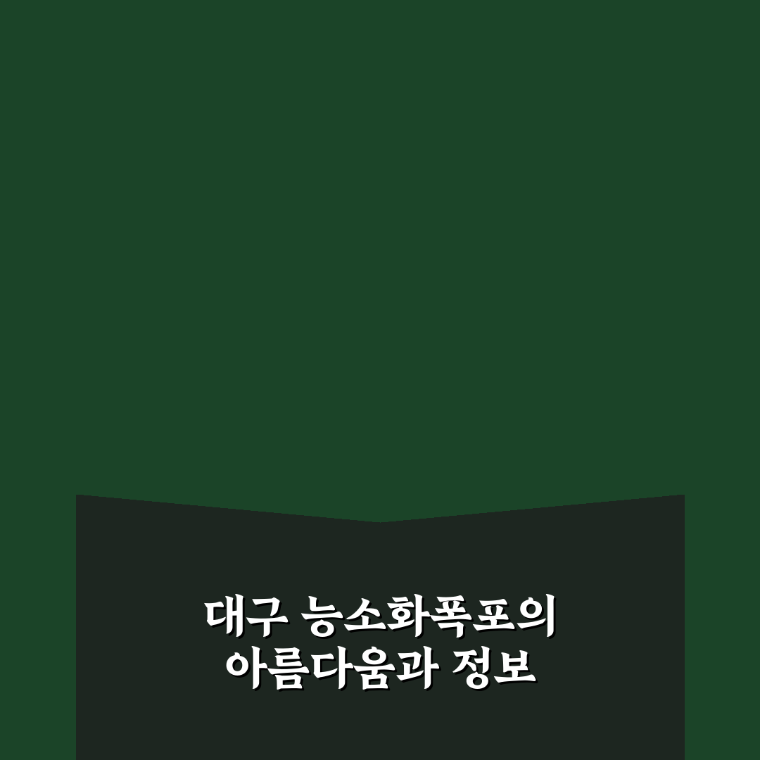 대구 능소화폭포 방문 꿀팁과 여행 정보 정리