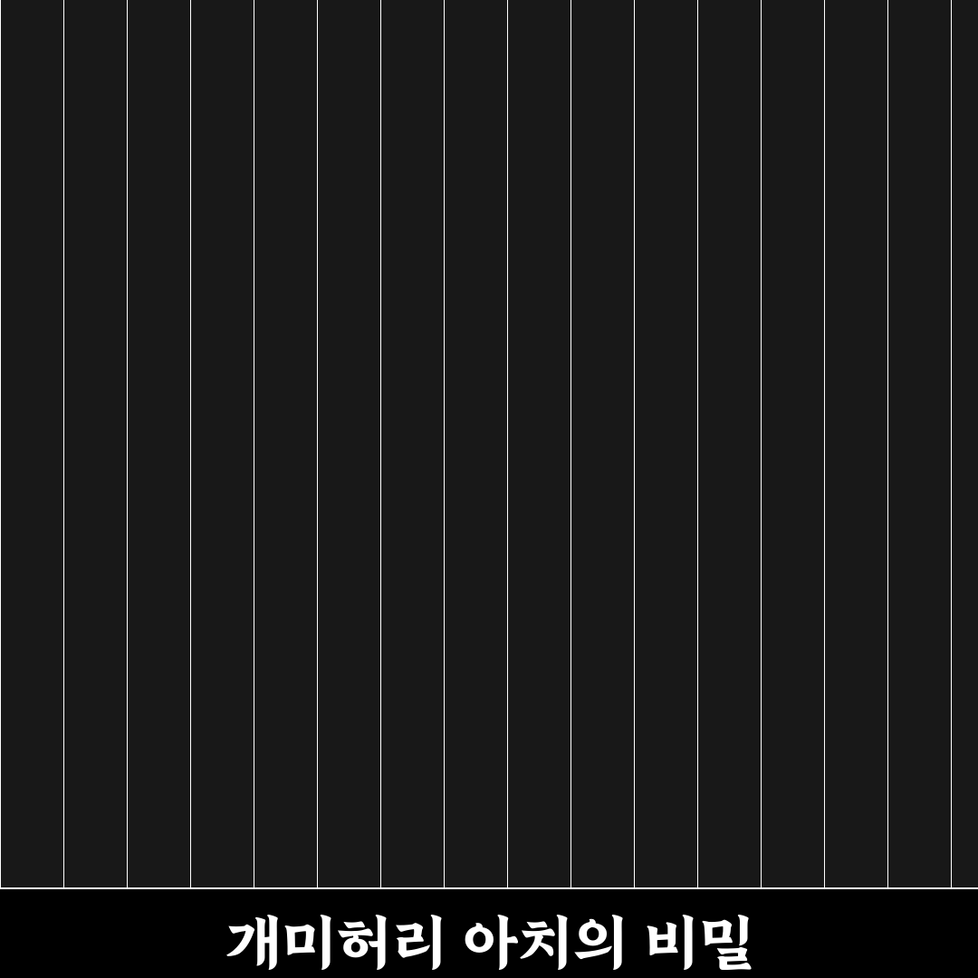 개미허리 아치교 구조와 특징 쉽게 정리해드려요