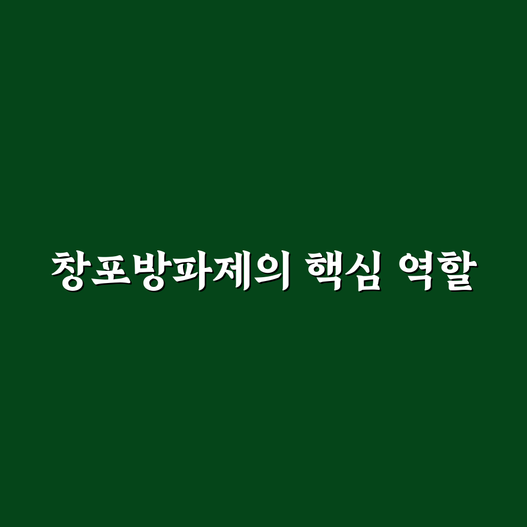 창포방파제 낚시 꿀팁과 초보자 가이드 정리