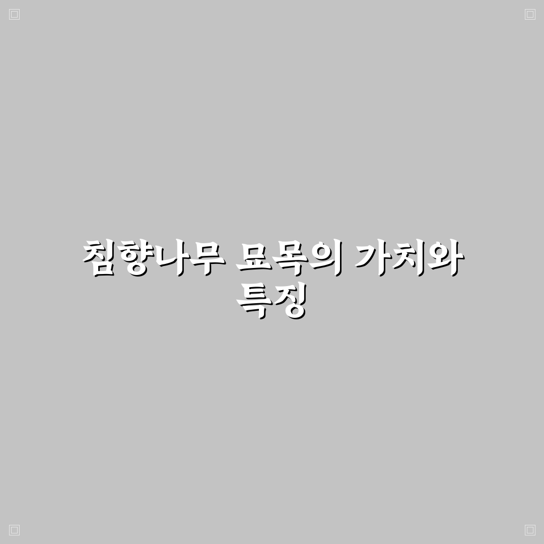 침향나무 묘목 가격 알아보기와 구매 꿀팁 공유