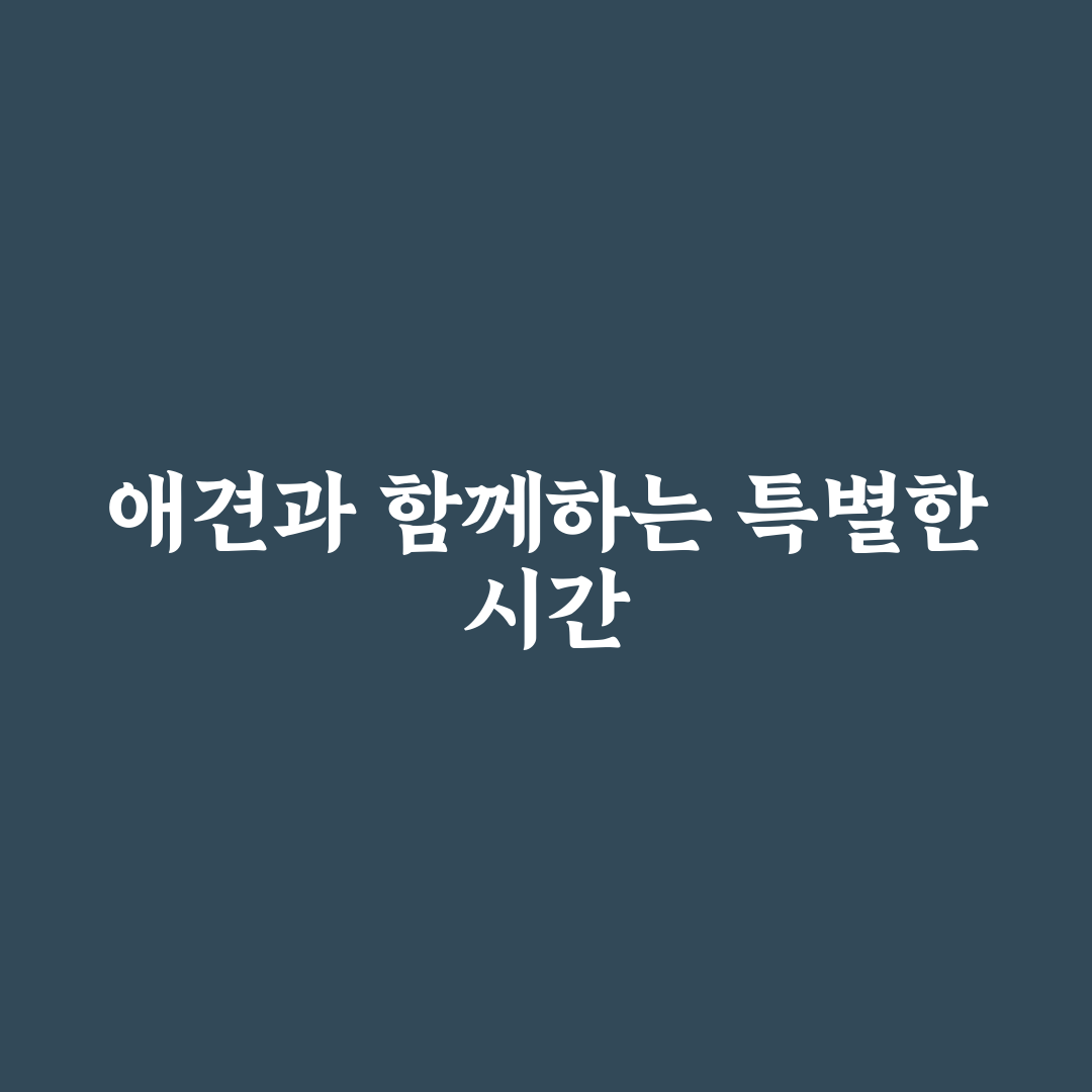 죽도 상화원 애견동반 꿀팁과 방문 전 알아야 할 정보