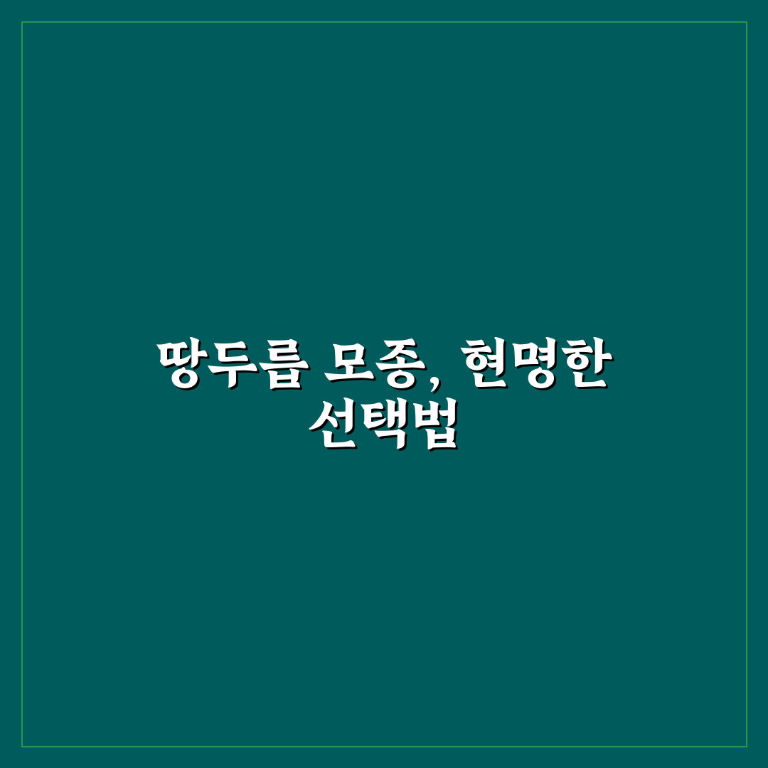 땅두릅 모종 가격과 구매 꿀팁 쉽게 알려드려요