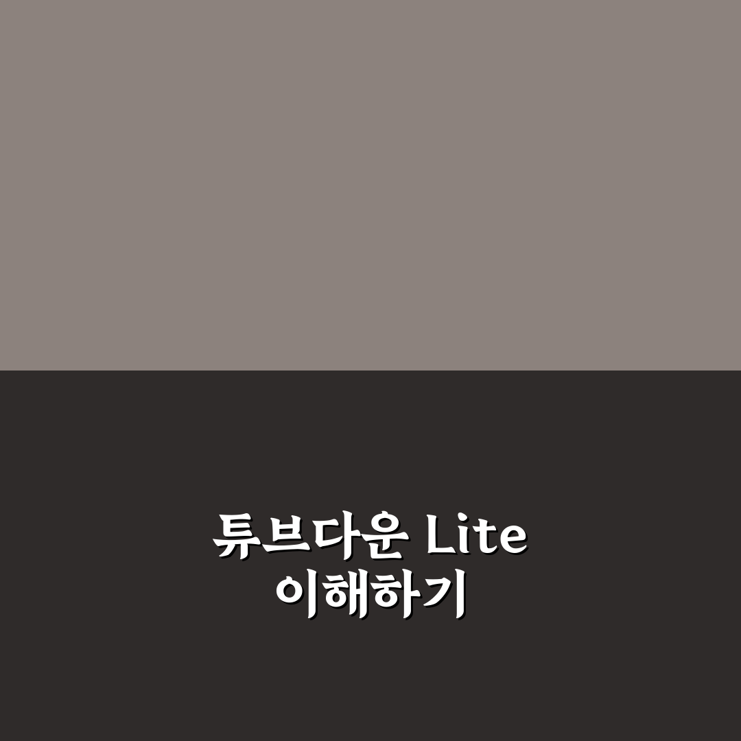 튜브다운 lite의 사용법과 꿀팁 정리