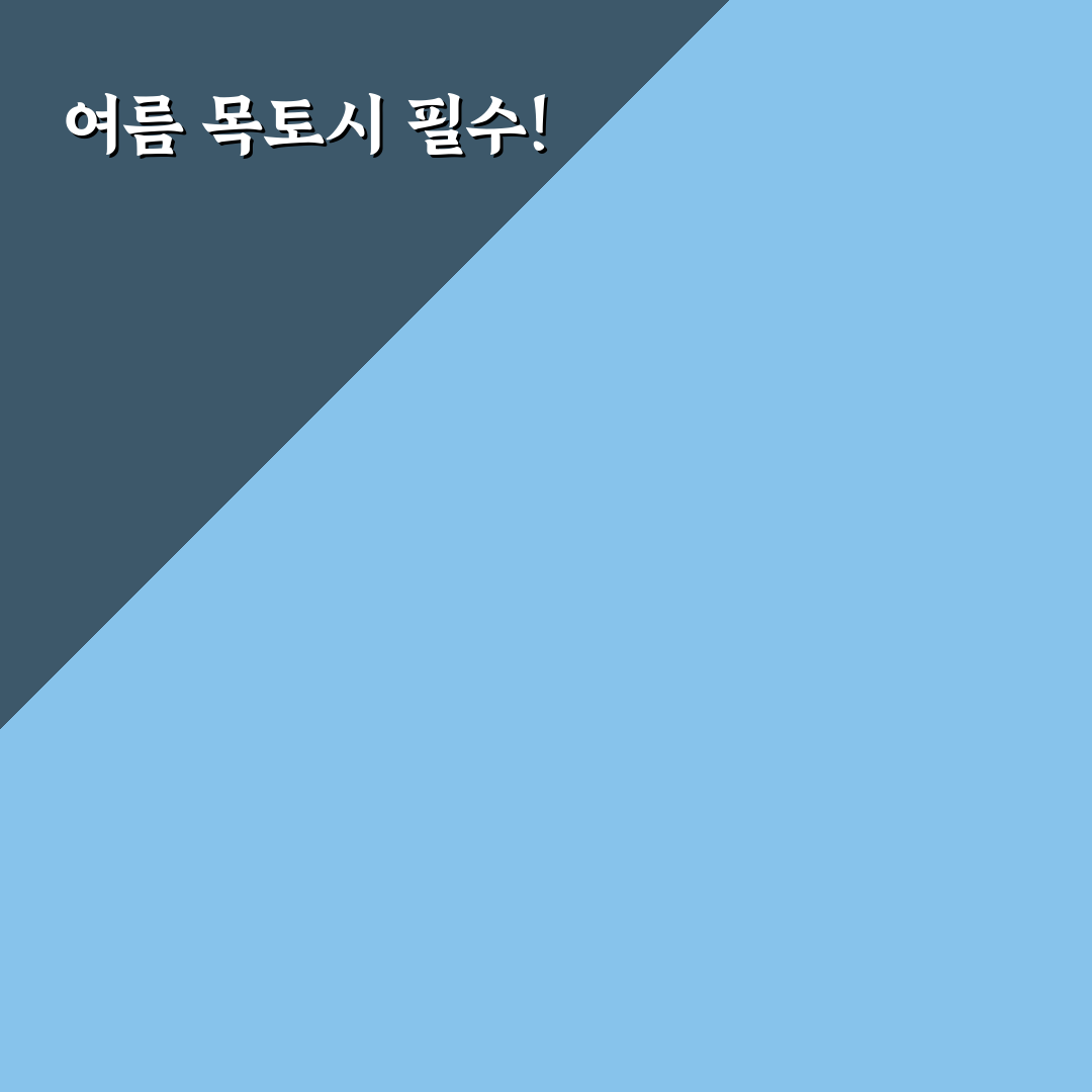 여름 목토시 추천과 활용 꿀팁 정리