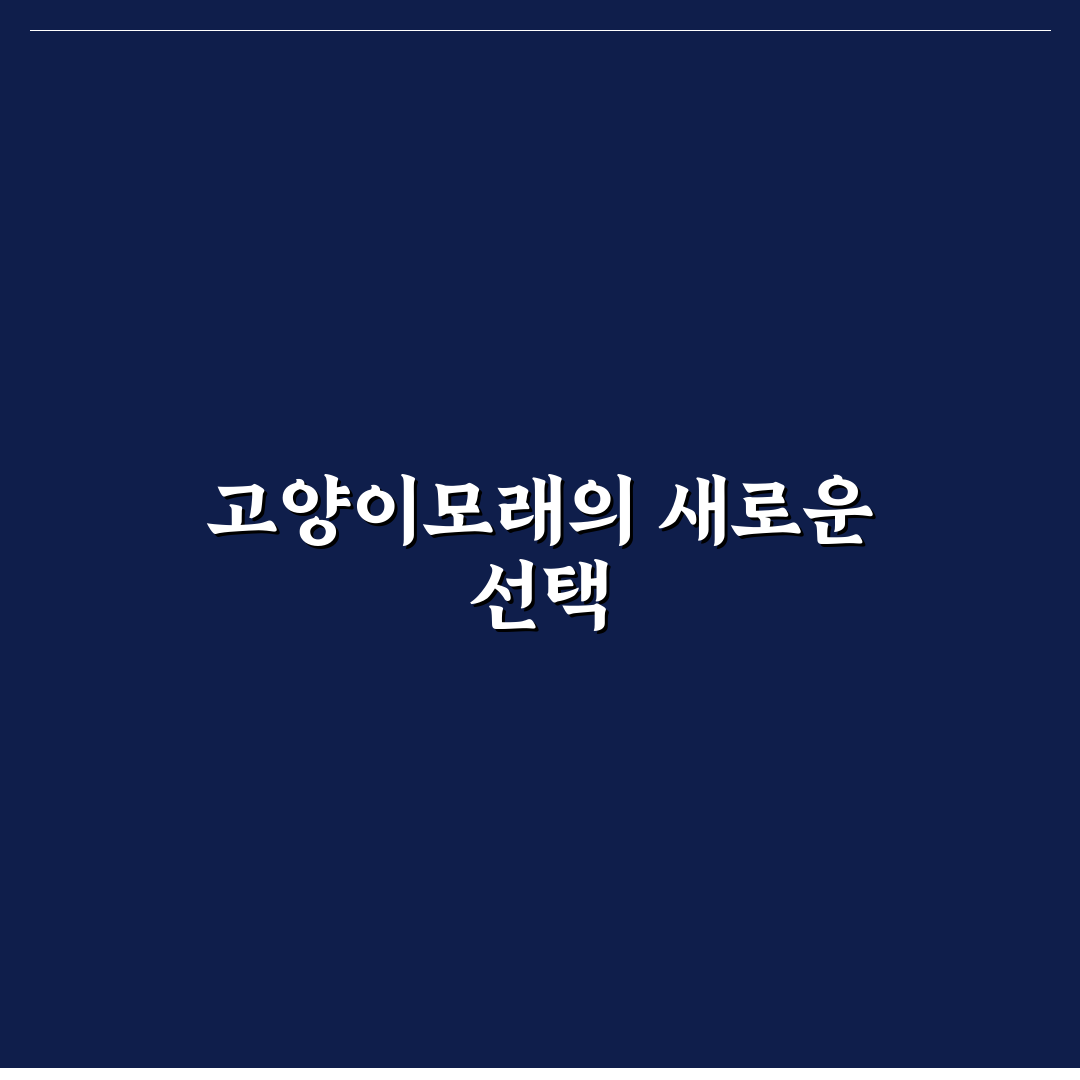 고양이모래 DIY 초보자를 위한 꿀팁 정리
