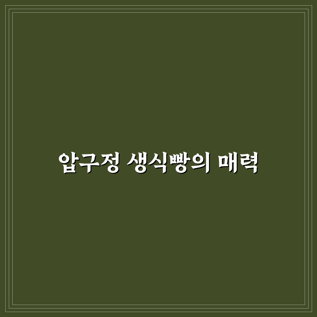 압구정생식빵 옵션블랙 추천 꿀팁과 구매 정보 공유