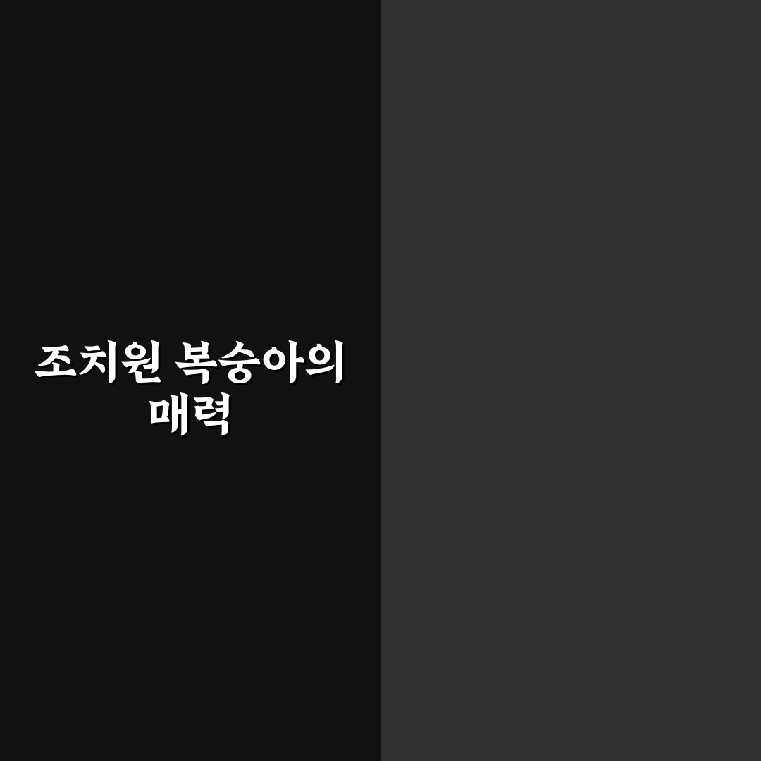 조치원 복숭아 축제 꿀팁과 필수 정보 정리