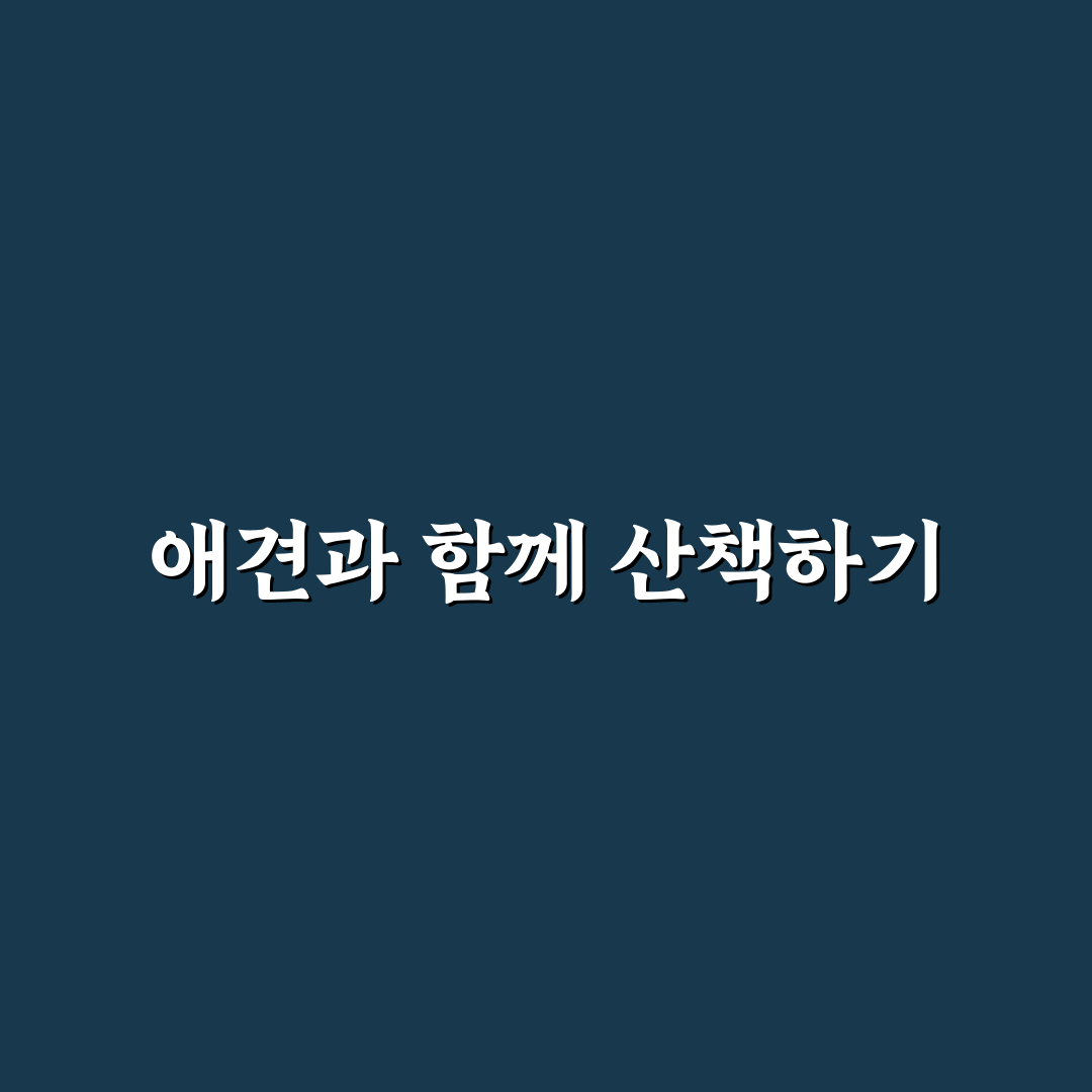 동구릉 애견 출입 꿀팁과 주의사항 정리