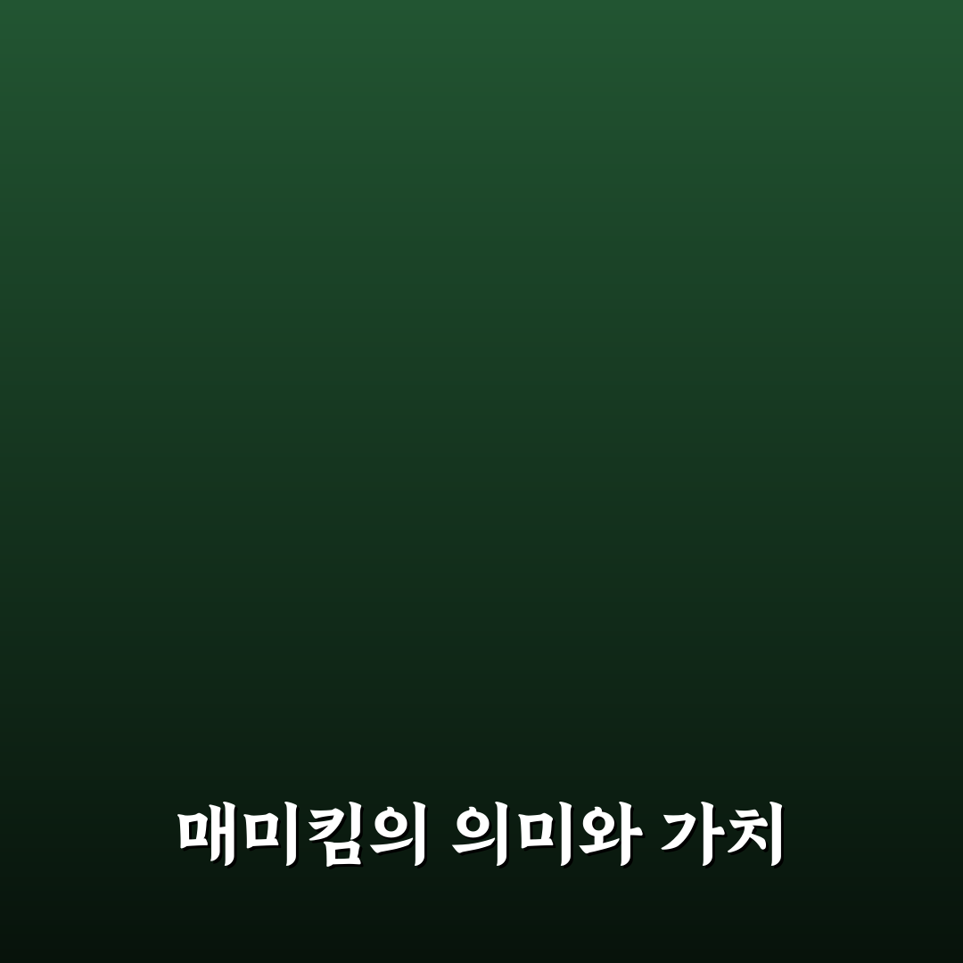 매미킴 꿀팁 알아보는 방법과 추천 제품 소개