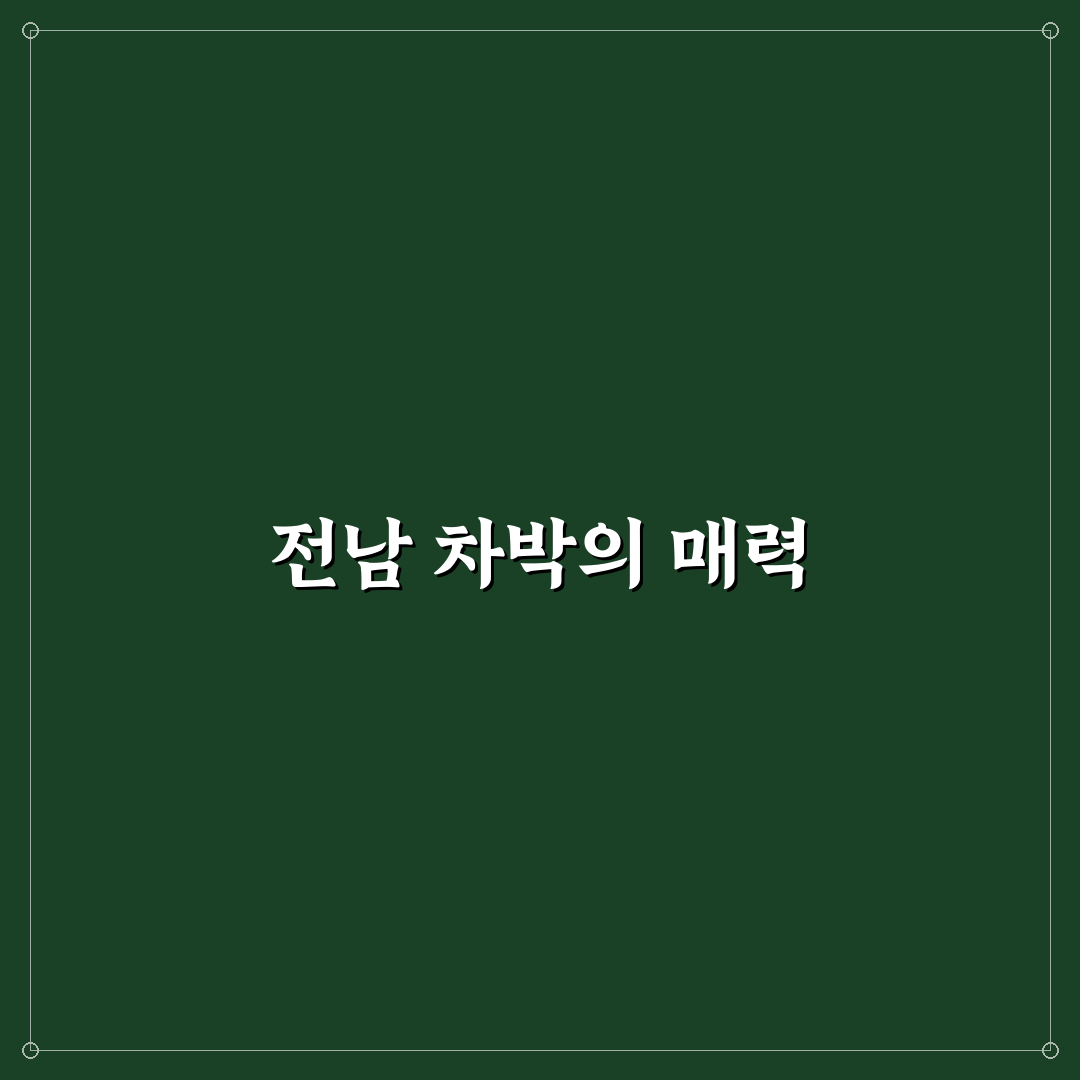 전남 차박 캠핑장 추천과 꿀팁 정리