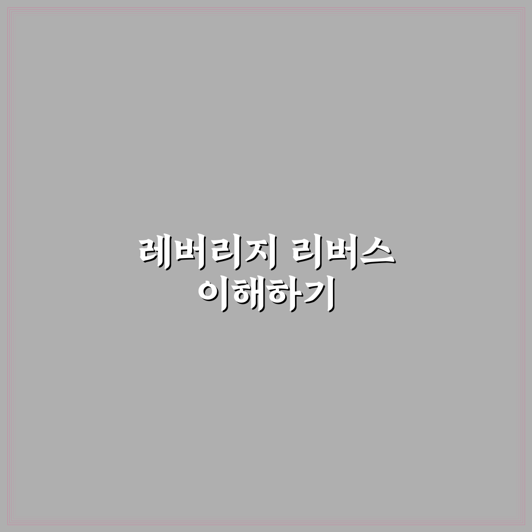 레버리지 리버스 뜻과 활용법 간단 정리