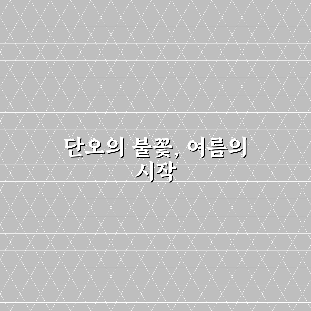 강릉 단오 불꽃놀이 꿀팁과 꼭 알아야 할 정보 공유